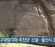 '반구대암각화 추진단' 신설..울산시 조직 개편