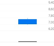 화승알앤에이, -12.18% VI 발동