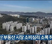 울산 부동산 시장 소비심리 소폭 하락