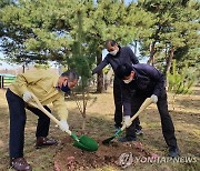 수원 노송지대에 노송 후계목 50주 식재