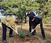 수원시, '노송지대에 노송 후계목 50주 심었다'