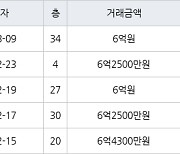 수원 정자동 수원SK스카이뷰 59㎡ 6억원에 거래