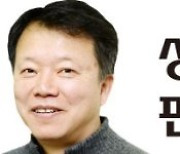 메이저리그 위용 뽐내는 추신수, '최고령 MVP' 타격할까 [성일만 야구선임기자의 핀치히터]