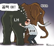 한국일보 3월 18일 만평