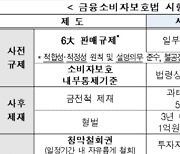 금소법 설명서·내부통제 마련 의무 6개월 유예