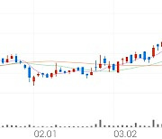 노랑풍선, +8.91% 상승폭 확대