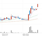 원익큐브, +17.39% VI 발동