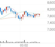 라이온켐텍, +3.85% 상승폭 확대