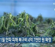 전라북도, 1월 한파 피해 복구비 4억 7천만 원 확정