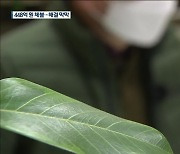 동해 한중대 임금 체불 해결 막막