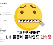 "김주임도 블라인드 해? 웬만하면 삭제해" LH발 '단속령?' [IT선빵!]