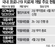 코로나 치료제, 상반기 '국산 2호' 물건너 가나