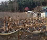 군포시 간부 공무원도 대야미주택지구 토지 매입해 억대 차익