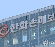 한화손보 '10년후 양도' 주식보상 도입.."11만8천주 대표 지급"