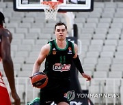 GREECE BASKETBALL EUROLEAGUE