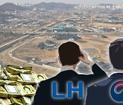 LH 해법이 부동산감독기구? 슬그머니 끼워넣은 당정