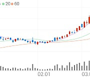 HMM, +1.23% 52주 신고가