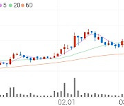 넥스턴, +1.33% 52주 신고가