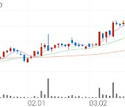 에버다임, +9.98% VI 발동