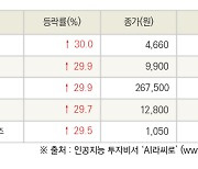 [fnRASSI]오늘의 상한가, 원익큐브 30.0% ↑