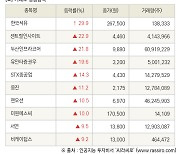 [fnRASSI]장마감, 거래소 상승 종목(한국석유 29.9% ↑)