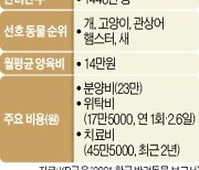 '세 집 중 한 곳'에 반려동물..한달 14만원 키우는데 쓴다