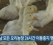 전남 모든 오리농장 24시간 이동중지 명령