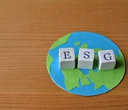 ESG investment fad attracting billions and paying off so far