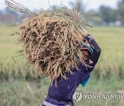 INDONESIA AGRICULTURE MACRO ECONOMICS