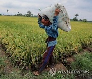 INDONESIA AGRICULTURE MACRO ECONOMICS