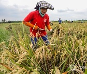 INDONESIA AGRICULTURE MACRO ECONOMICS