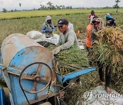 INDONESIA AGRICULTURE MACRO ECONOMICS