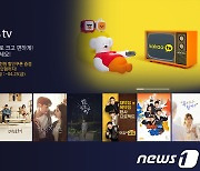 '넷플릭스 천하' 콘텐츠 시장.."우리도 오리지널" IPTV 업계의 '반격'