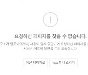 네이버 "24일 서비스 장애는 디도스 공격 탓"