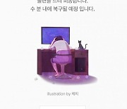 24일 네이버 오류, '디도스 공격' 원인.."공격 주체 파악 예정"