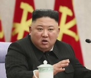 Court awards damages from North, Kim Jong-un