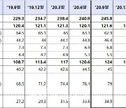 작년 말 보험사 대출채권 253조..기업대출 급증세