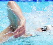 남자 수영 황선우, 올림픽 앞두고 전국대회 5관왕