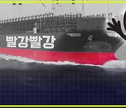 [엠빅뉴스] 빨간색이 지켜준다? 거대한 배들도 이들이 두렵다!