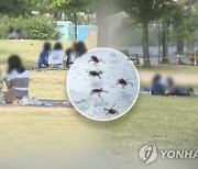 과수원 일하다 진드기 매개 사망..올해 경북서 첫 사례