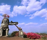 [의령소식] 한우산 철쭉제, 올해도 취소