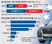 현대차 SUV에 반한 미국..117% 더 팔렸다