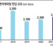 비트코인, 변동성 축소 호재..가상자산 생태계에 돈 넘친다