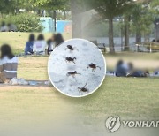 경북서 올해 첫 진드기 매개 SFTS 사망자 발생..예방백신 없어