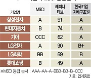 ESG 평가기관 난립에 기준 제각각..한국형 가이드라인 마련해야