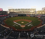 USA BASEBALL MLB