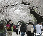 오후 6시 445명, 어제와 같아..부산 유흥업소 누적 200명↑(종합)