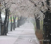 [날씨] 봄비 내리는 주말..내일까지 중부 최대 80mm