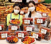 '토마토 종합선물세트' 행사 소개하는 이마트