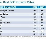 美 피터슨연구소 "올해 세계경제성장률 5.6%로 상향조정"